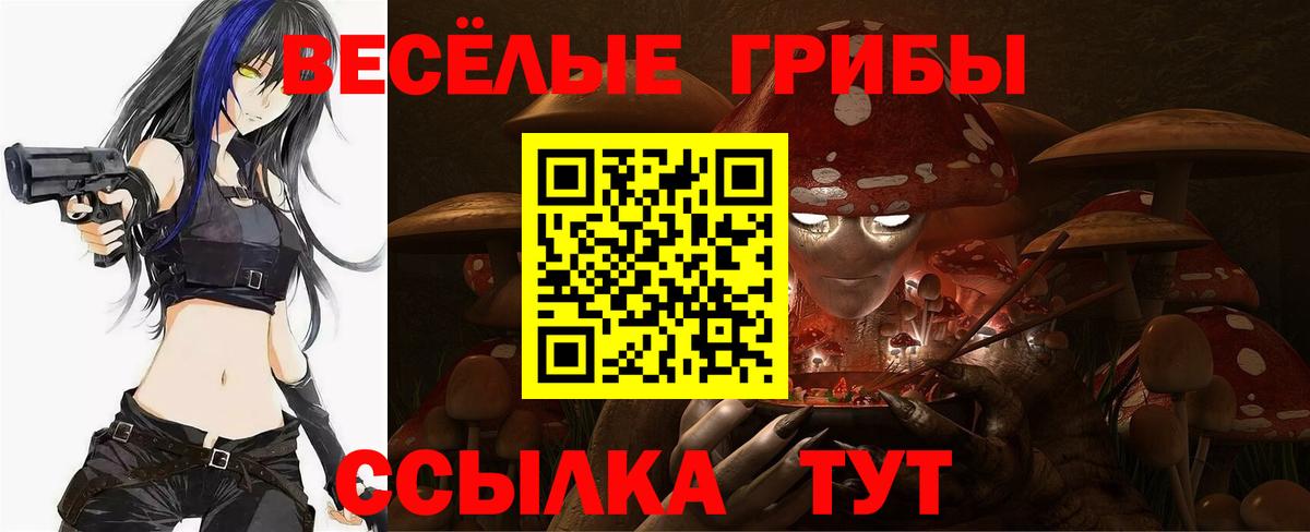 Галлюциногенные грибы ЛСД  Псилоцибиновые грибы MAGIC MUSHROOMS  Киров  Вход с VPN 