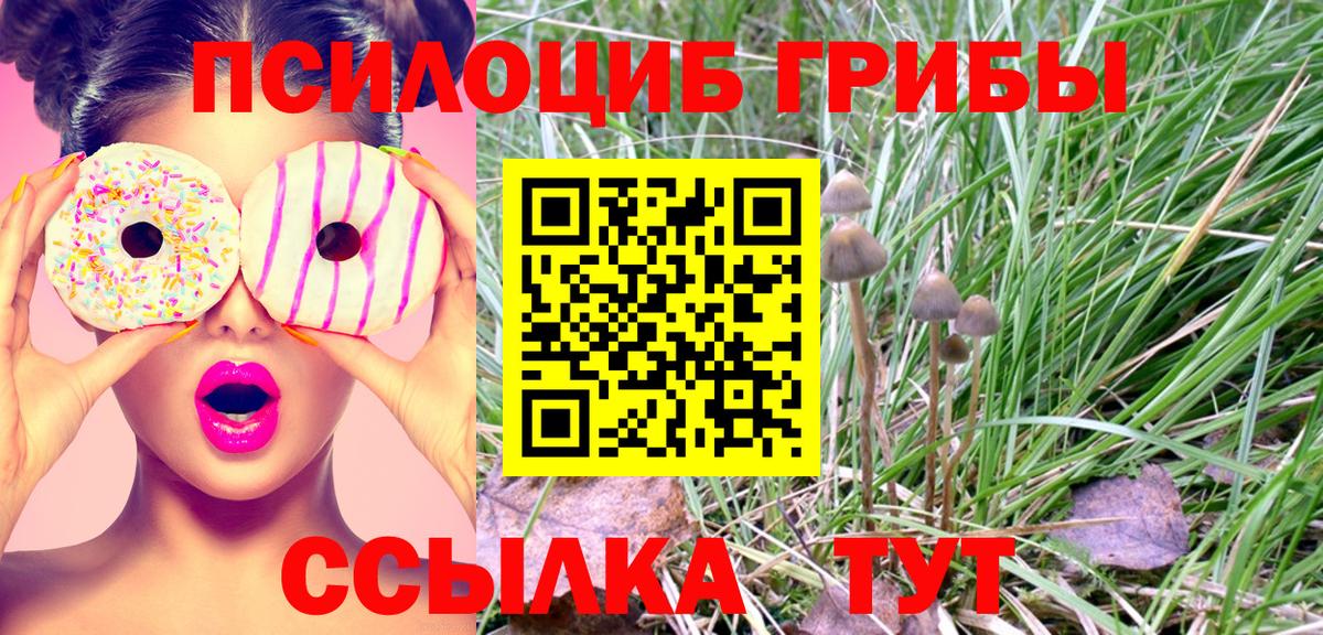 Псилоцибиновые грибы Magic Shrooms Киров